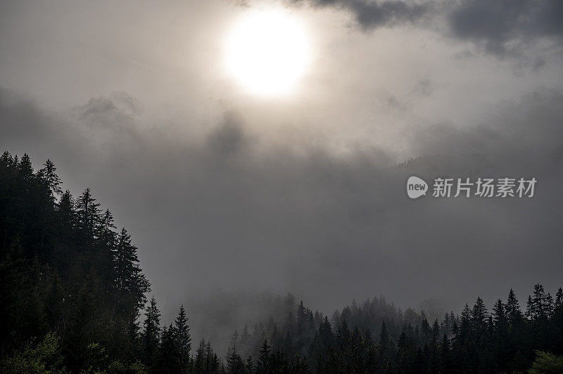 春天在Zgornje Jezersko山谷森林上空的云层